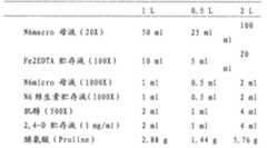 Figure BSA00000340984900151