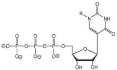 Figure imgf000701_0002
