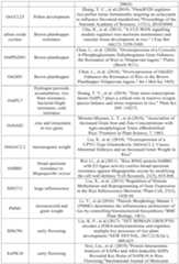 Figure PCTCN2022090268-appb-000082