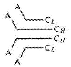 Figure imgf000070_0002