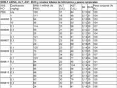 Figure imgf000089_0001