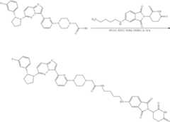 Figure US11969472-20240430-C00281