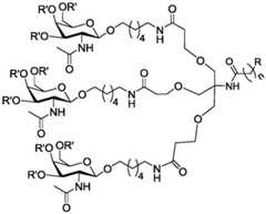 Figure BDA0003018192690002581