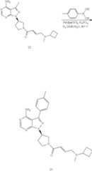 Figure US08377946-20130219-C00037