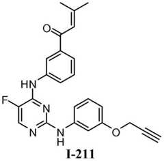 Figure BDA0001453135130002702