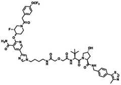 Figure BDA0002964098100002281