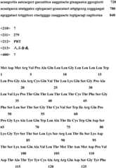 Figure RE-GDA0001905944050000471