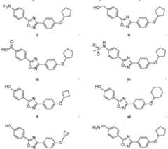 Figure imgf000047_0001