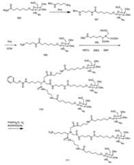 Figure 0007429103000343