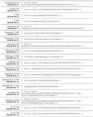 Figure imgf000021_0001