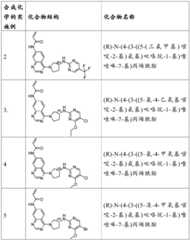 Figure BDA0003549429610000381