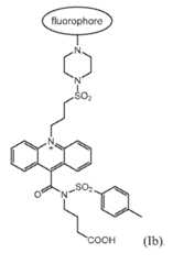 Figure imgf000139_0001