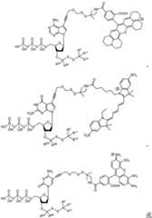 Figure BDA0003670511740001701