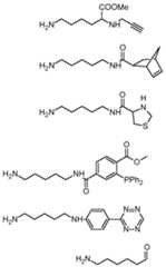 Figure imgf000042_0002