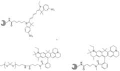 Figure imgf000350_0001