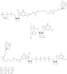 Figure US08093367-20120110-C00018