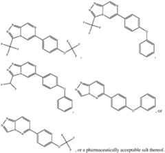 Figure imgf000007_0001