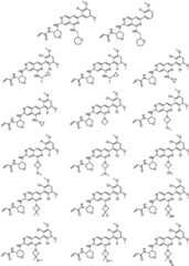 Figure GPA0000263212130000291