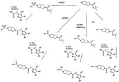 Figure imgf000068_0001