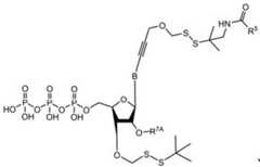 Figure BDA0003670511740001832