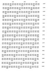 Figure imgf000078_0001