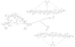 Figure 0007704732000058