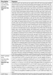 Figure imgf000244_0001