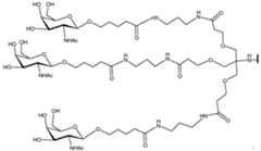 Figure imgf000498_0001