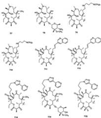 Figure A2005800135320039C1