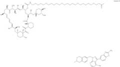 Figure US12048749-20240730-C00525