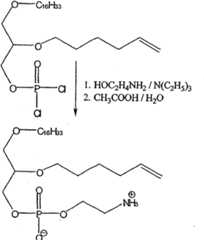 Figure GSA00000039132200461