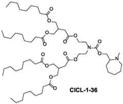 Figure imgf000044_0001