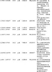 Figure BPA00001280678302191