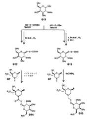 Figure 0007417529000037