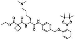 Figure BDA0004113777320002072