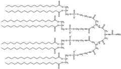 Figure imgf000017_0001