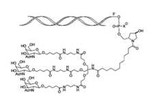 Figure 112108125-A0101-12-0007-206