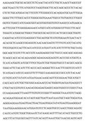 Figure 104109152-A0202-12-0106-49