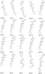 Figure 112007005999643-pct00015