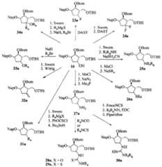 Figure imgf000061_0001