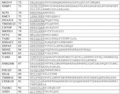 Figure BDA0002808063770004161