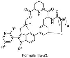 Figure imgf000098_0001