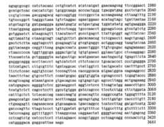 Figure 104109152-A0305-02-0134-17