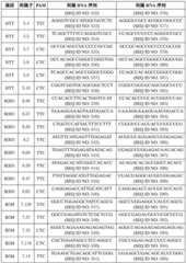 Figure BDA0003627552160002461