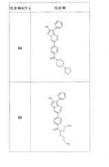 Figure FSB00000082108100511