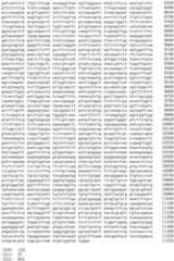 Figure IDA0002536600790001371