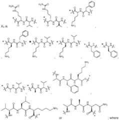 Figure imgf000024_0002