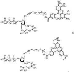 Figure BDA0003670511740002801