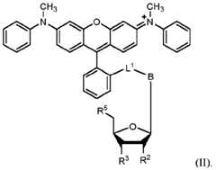 Figure imgf000061_0002