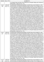 Figure BDA0003627552160002371